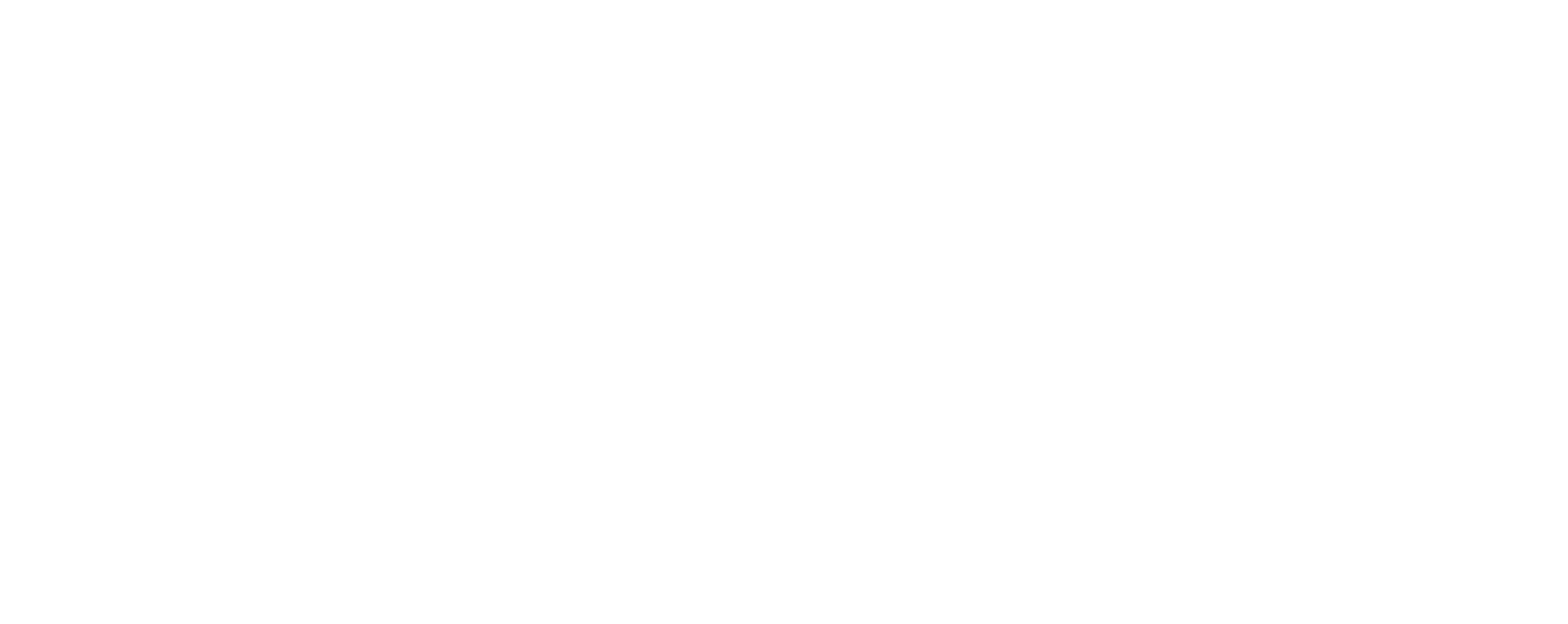 North Somerset Council